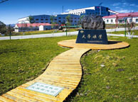 绥化天华矿业集团